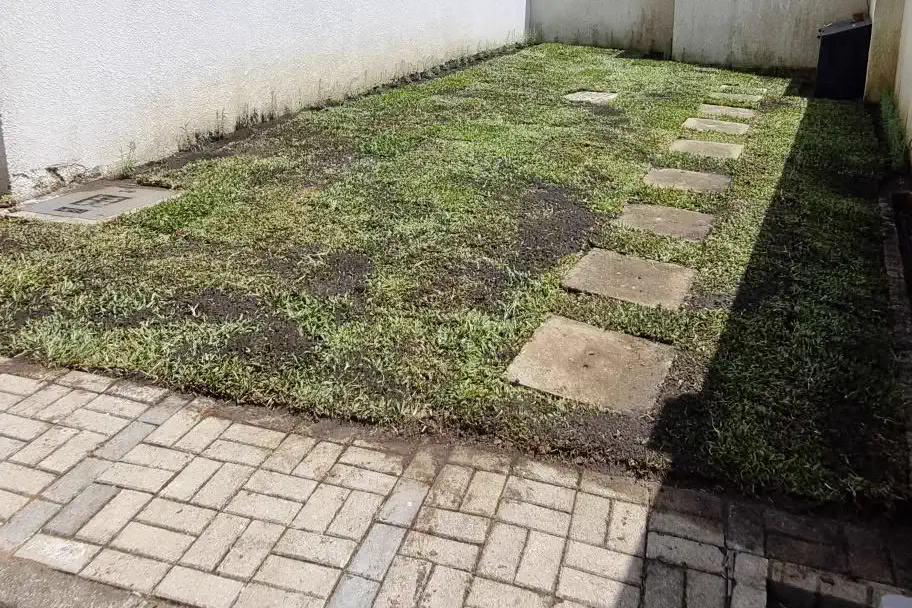 Quintal residencial com gramado novo em placas, executado pela Flora Marchetti