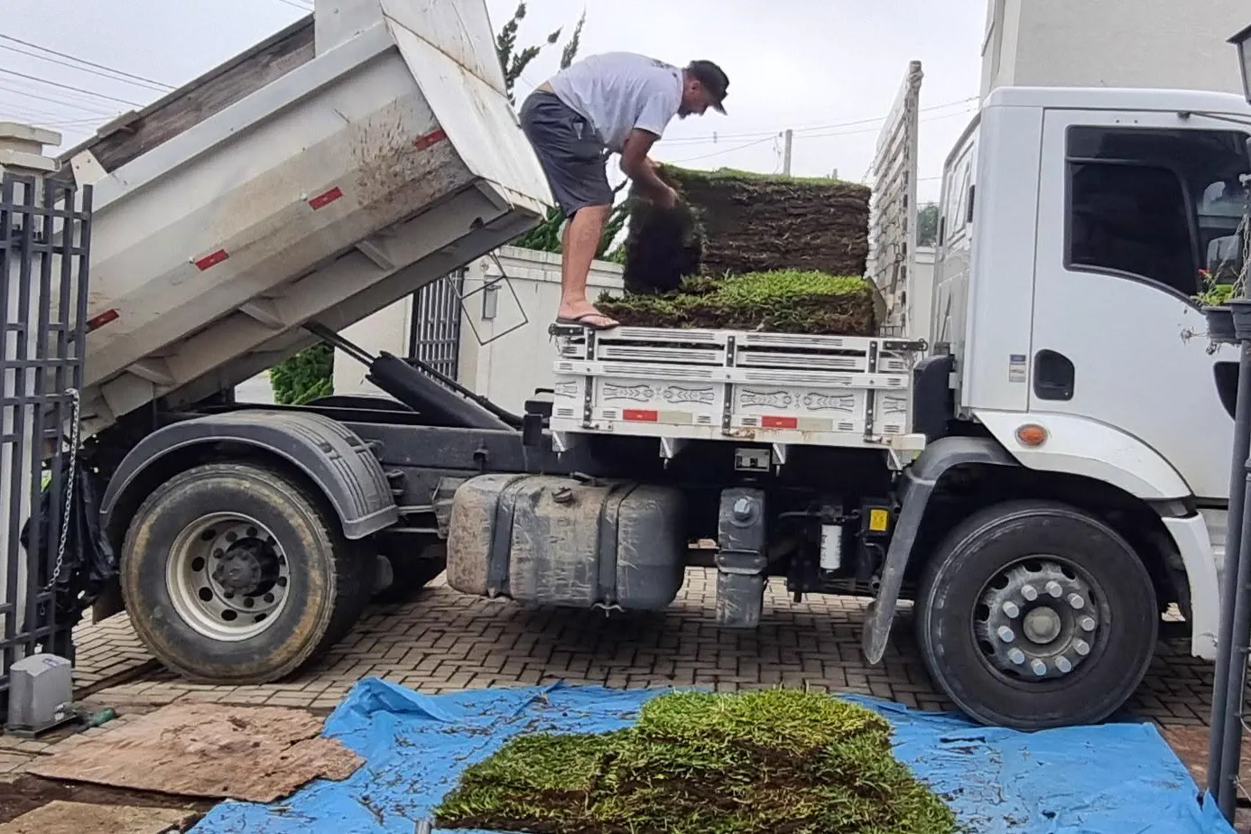 Descarregamento de placas de grama para plantio em obra residencial