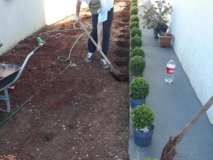 Jardineiro preparando canteiro com enxada para o plantio de buxinhos em residência