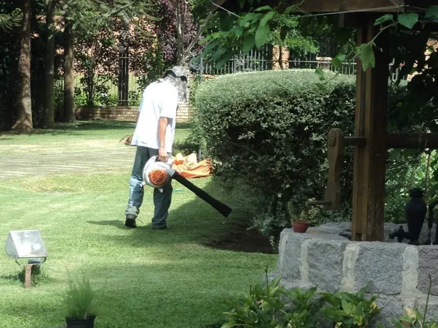 Manutenção de jardim com soprador, arbustos aparados e gramado limpo